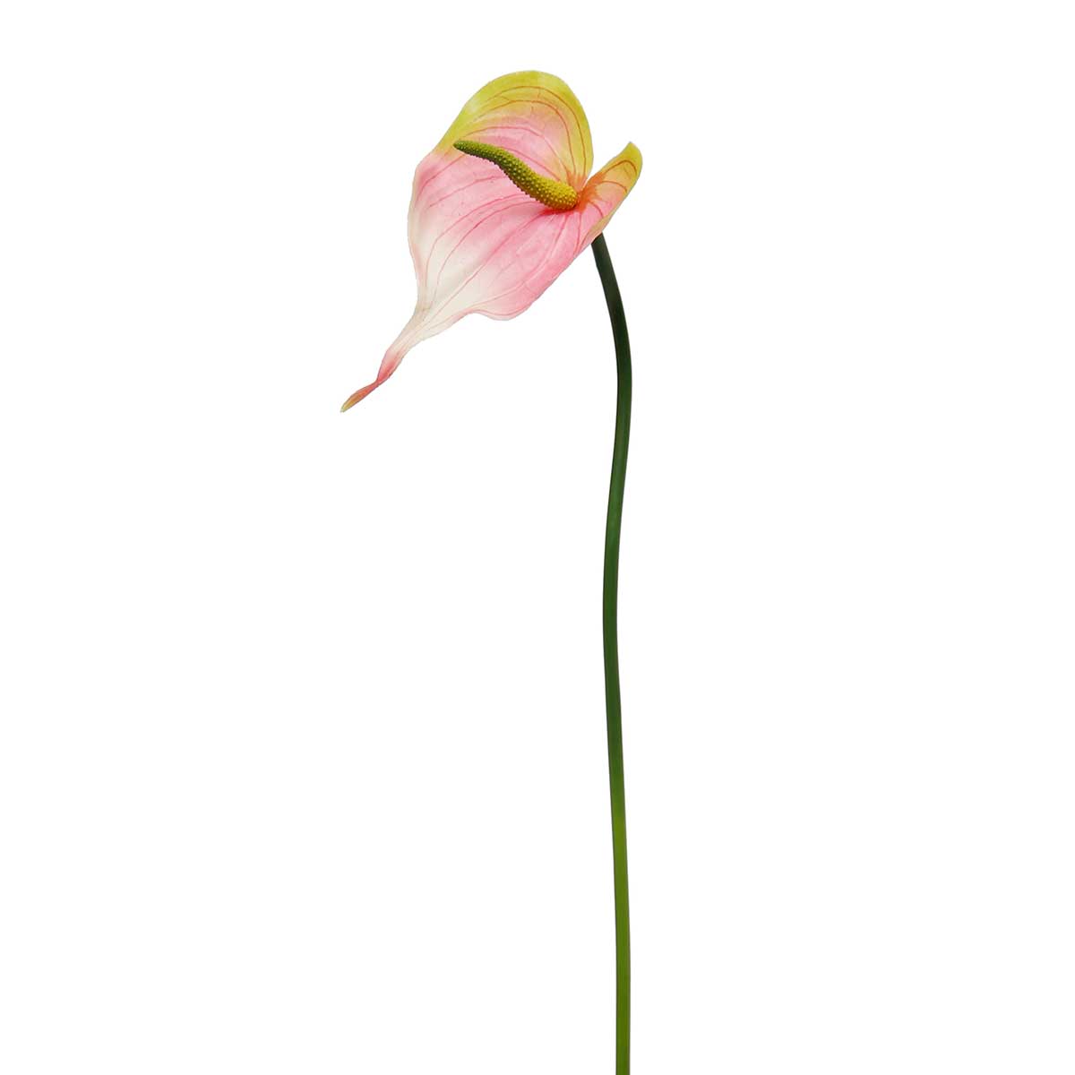 !REAL TOUCH ANTHURIUM 6"X4"X20" PINK SMALL